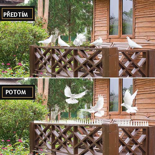 edinstvene konice proti pticam